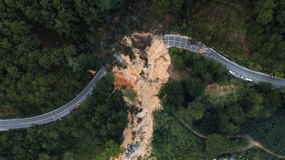 ৩ দিনের মধ্যে প্রেন পাস এবং আগামী ১০ দিনের মধ্যে মিমোসা পাস পরিষ্কার করার প্রচেষ্টা