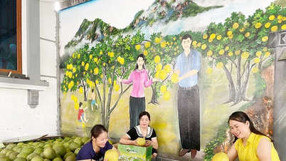 Modèles de liaison, créant des avancées majeures pour l'agriculture