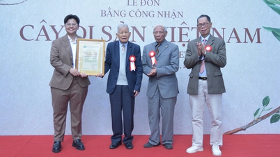 Ocenění 12 vietnamských historických stromů v resortu Senna Wellness Retreat v okrese Vu Ninh