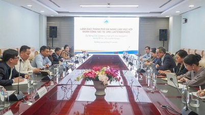 ນະຄອນ ດ່າໜັງ ປຶກສາ​ຫາລື​ກັບ​ບັນດາ​ຜູ້​ຊ່ຽວຊານ​ສະ​ວິດ ກ່ຽວ​ກັບ​ການ​ກຳນົດ​ທິດ​ພັດທະນາ​ສູນ​ການ​ເງິນ