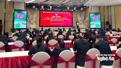 Melatih dan meningkatkan kemahiran profesional untuk pegawai Kesatuan Belia agensi Parti wilayah