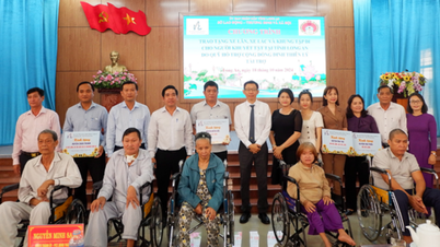 Multe schimbări în activitatea de asistență a persoanelor cu dizabilități