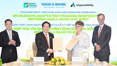 בנק נאם א' ו-GCPF חתמו על מזכר הבנות: תיאום מחקר על מסגרת פיננסית להסתגלות לשינויי אקלים החל משנת 2026