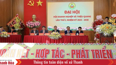 Бизнес-сообщество коммуны Тхиеу Куанг объединяется ради развития