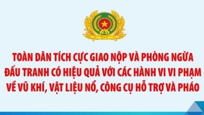 Ка Мау — пропаганда, мобилизация для сбора, предотвращения и борьбы с преступлениями и нарушениями законов об оружии, взрывчатых веществах, вспомогательных средствах и пиротехнических средствах в последние месяцы 2025 года.