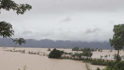 크롱 아나, 홍수 피해 주민 지원 위해 최대 병력 동원