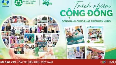 Hoa Linh Pharmaceuticals: 지속 가능한 개발과 함께 지역 사회의 책임도 함께합니다