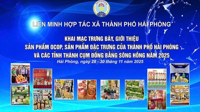 Numerosas localidades participan en la exhibición de productos y especialidades de OCOP en Hai Phong a finales de noviembre.