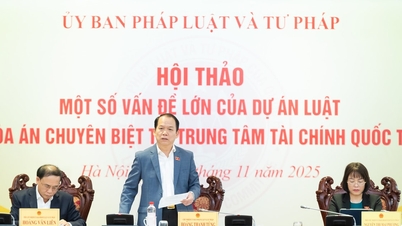 ការបង្កើតមូលដ្ឋានច្បាប់សម្រាប់ប្រតិបត្តិការរបស់តុលាការពិសេសនៅមជ្ឈមណ្ឌលហិរញ្ញវត្ថុអន្តរជាតិ