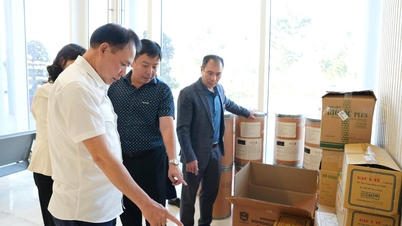 Sektor kesehatan Hai Phong siap mendukung obat-obatan, persediaan dan sumber daya manusia untuk mendukung Dak Lak.