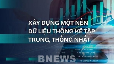 ایک مرکزی، متحد شماریاتی ڈیٹا بیس کی تعمیر