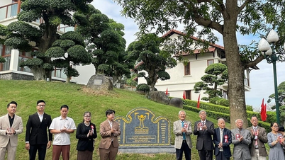 박닌의 12그루 고대 나무를 베트남 문화유산으로 지정