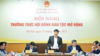 El vicepresidente de la Asamblea Nacional, Vu Hong Thanh, asiste a la reunión ampliada del Comité Permanente del Consejo de Nacionalidades.