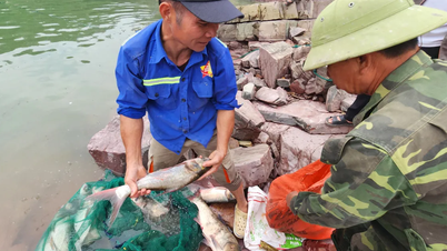 Alur tumpahan Doc Mieu ditutup: orang ramai memburu ikan mas perak besar di tasik Ke Go