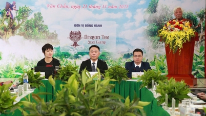 Transformar o chá Suoi Giang Shan Tuyet em um produto local essencial.
