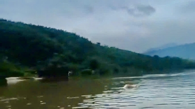 У Куангчі знайдено тіло, яке, ймовірно, належить водієві тягача з причепом, якого змила повінь.