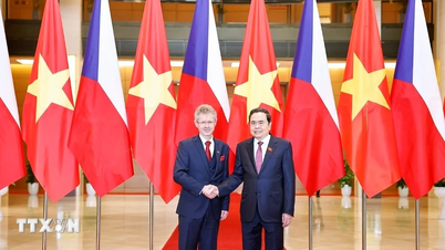 체코 상원 의장, 베트남 공식 방문 마무리