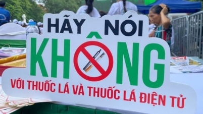 Many opinions propose banning e-cigarettes and heated tobacco products in the amended Investment Law.