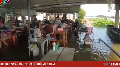 تھائی لینڈ میں سیلاب زدہ ریستوراں میں مچھلیوں کے درمیان کھانے کا تجربہ کریں۔