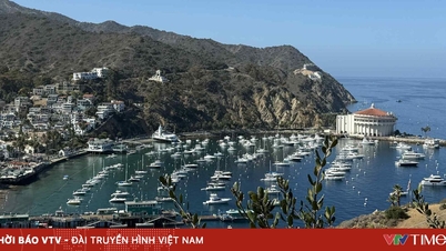 سانتا کاتالینا جزیرے پر ایک پرامن دن