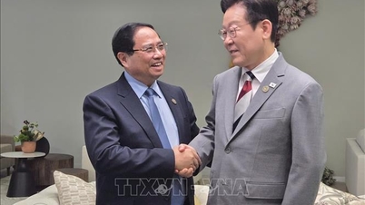 Le Premier ministre Pham Minh Chinh rencontre bilatéralement les dirigeants de la Corée du Sud, de l'Inde et de l'Espagne.