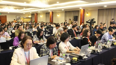 Создание стратегической основы для вьетнамского кино