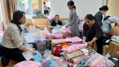 डाक लाक प्रांत के समाचार पत्र, रेडियो और टेलीविजन ने बाढ़ प्रभावित क्षेत्रों में लोगों की सहायता के लिए लगभग 1 बिलियन वीएनडी जुटाए।