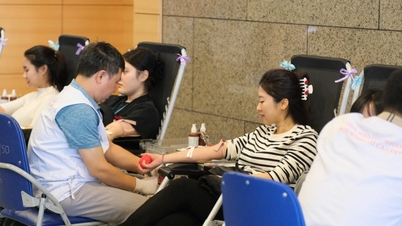 রক্তদান উৎসব 'কূটনীতির হৃদয়': পররাষ্ট্র মন্ত্রণালয়ের তরুণদের সামাজিক দায়বদ্ধতা ছড়িয়ে দেওয়া