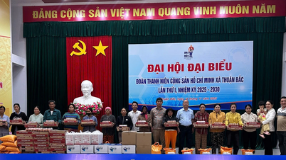 Жителям коммуны Туан Бак, пострадавшей от наводнения, предоставлено 453 предмета первой необходимости.