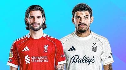Trực tiếp bóng đá Liverpool vs Nottingham Forest: Vòng 12 Ngoại hạng Anh