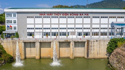 Інформація про масштаб та бізнес-стан гідроелектростанції Song Ba Ha