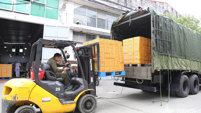 ব্রিগেড ৯৭১ (মোটরসাইকেল-পরিবহন বিভাগ) মধ্য অঞ্চলের বন্যাদুর্গত এলাকায় প্রয়োজনীয় জিনিসপত্র পরিবহন করে।