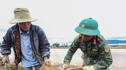 انضموا إلينا لمساعدة دي ران في التغلب على عواقب الكوارث الطبيعية