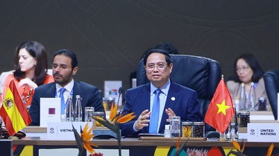 প্রধানমন্ত্রী ফাম মিন চিন প্রস্তাব করেন যে G20-এর উচিত পারস্পরিক শ্রদ্ধার সাথে আন্তর্জাতিক সহযোগিতার জন্য একটি ব্যবস্থা তৈরিতে নেতৃত্ব দেওয়া।