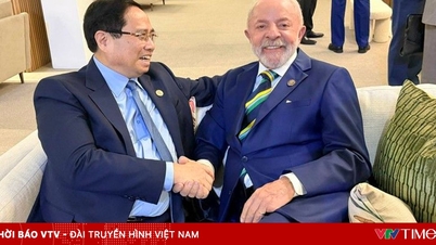 প্রধানমন্ত্রী ফাম মিন চিন বিভিন্ন দেশ এবং আন্তর্জাতিক সংস্থার নেতাদের সাথে সাক্ষাৎ করেন