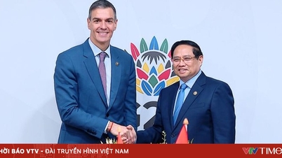 ভিয়েতনাম-স্পেনের বাণিজ্য শীঘ্রই ৮ বিলিয়ন মার্কিন ডলার ছাড়িয়ে যাবে