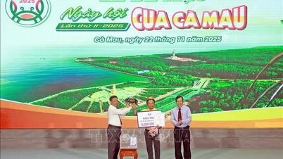 Wrażenia z II Festiwalu Kraba Ca Mau w 2025 roku