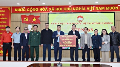 Lam Dong recibió apoyo de 50 mil millones de VND y 30 toneladas de bienes y necesidades de Quang Ninh.
