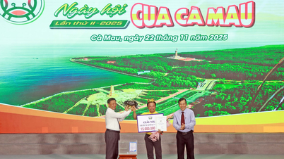 جشنواره خرچنگ کا مائو ۲۰۲۵: نشان جدیدی برای برند محلی