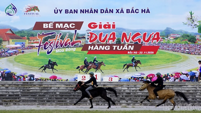 Finał cotygodniowego turnieju wyścigów konnych Bac Ha