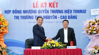 Franciza TONMAT în Thai Nguyen