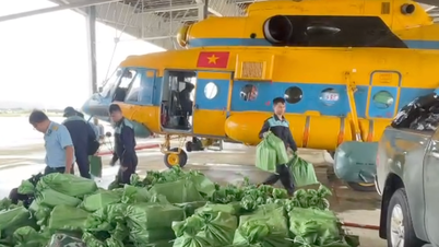 Internationale noodhulpgoederen zijn aangekomen in de door overstromingen getroffen gebieden Dak Lak en Gia Lai.