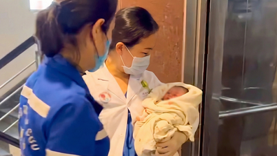 নাহা ট্রাং-এর বন্যা আশ্রয়কেন্দ্রে শিশুর জন্ম