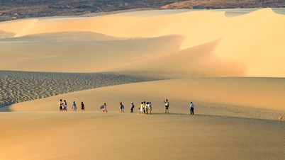 লাম ডং প্রদেশের "ছোট্ট সাহারা মরুভূমি" ঘুরে দেখুন