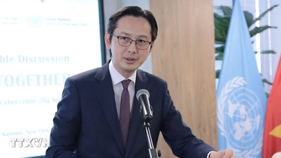 वियतनाम ने एनपीटी समीक्षा सम्मेलन पर अफ्रीकी क्षेत्रीय परामर्श कार्यशाला की अध्यक्षता की