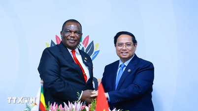 प्रधानमंत्री फाम मिन्ह चीन्ह ने जिम्बाब्वे के उपराष्ट्रपति से मुलाकात की