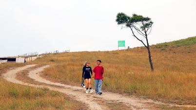 'Miniatura Da Lat' en Quang Ninh en la estación más hermosa del año, la hierba es de un amarillo brillante