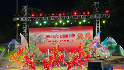 Schimb și spectacol cu ​​tema „Ecourile Marii Păduri - Culorile Patrimoniului”