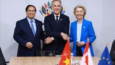 Prim-ministrul Pham Minh Chinh s-a întâlnit cu prim-ministrul Canadei și președintele UE