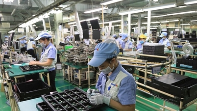 Avanço institucional no setor de Indústria e Comércio: